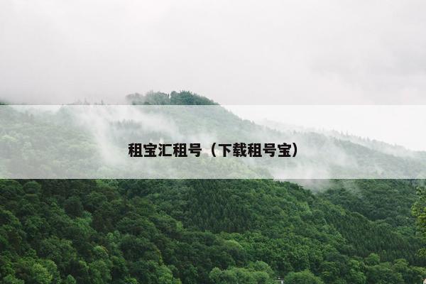 租宝汇租号（下载租号宝）