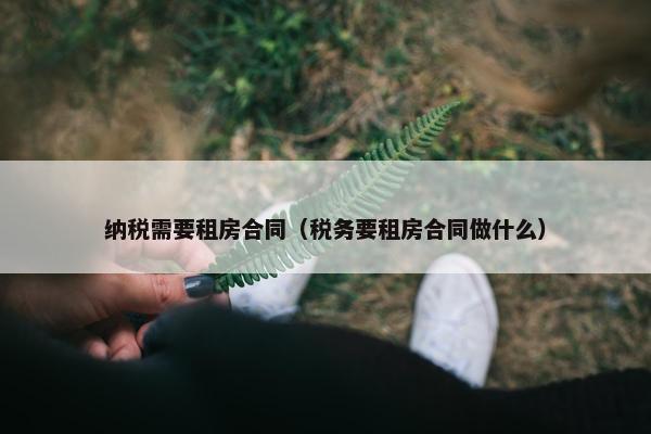 纳税需要租房合同（税务要租房合同做什么）