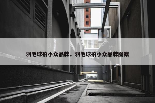 羽毛球拍小众品牌，羽毛球拍小众品牌图案