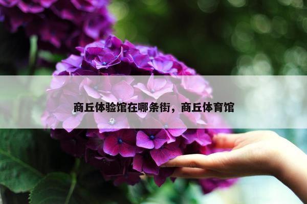 商丘体验馆在哪条街，商丘体育馆
