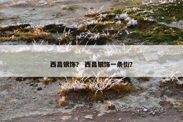 西昌银饰？ 西昌银饰一条街？