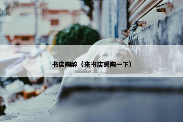 书店陶醉（来书店熏陶一下）