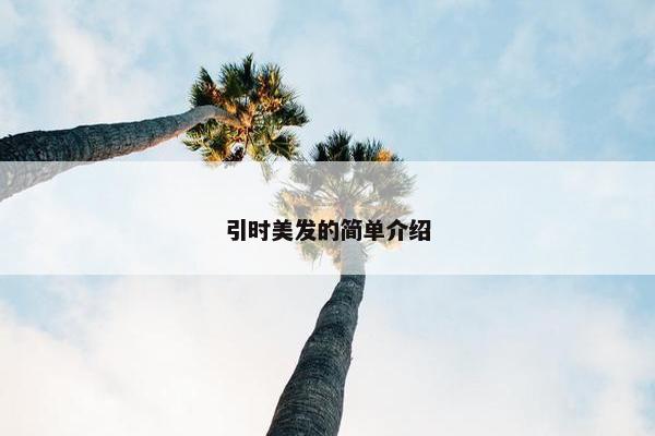 引时美发的简单介绍