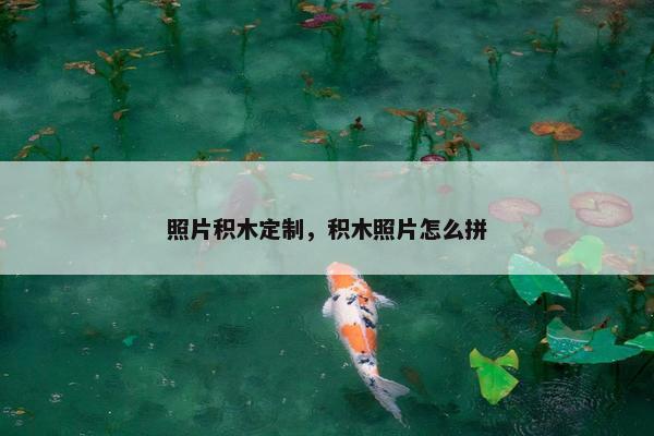 照片积木定制，积木照片怎么拼