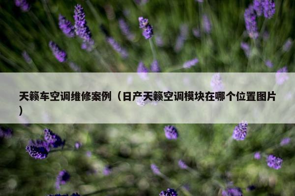 天籁车空调维修案例（日产天籁空调模块在哪个位置图片）
