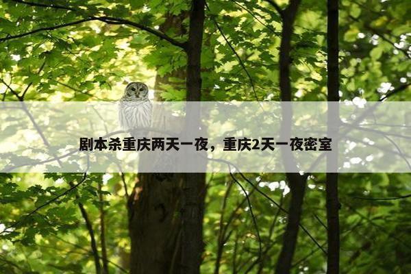 剧本杀重庆两天一夜，重庆2天一夜密室