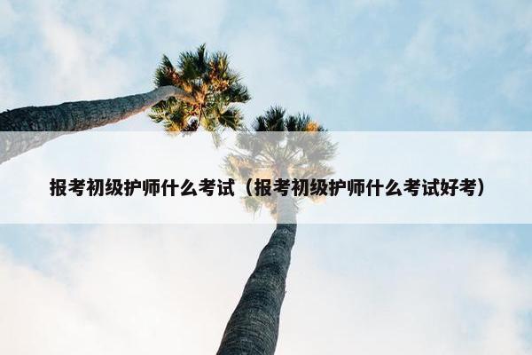 报考初级护师什么考试（报考初级护师什么考试好考）