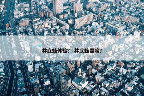 井底蛙体验？ 井底蛙是啥？