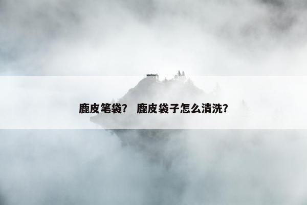 鹿皮笔袋？ 鹿皮袋子怎么清洗？