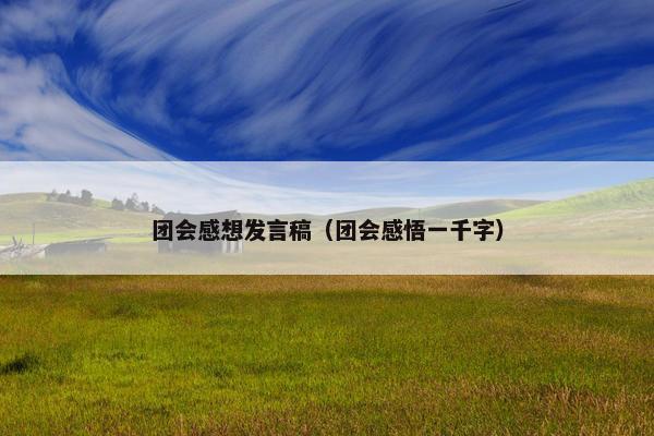 团会感想发言稿（团会感悟一千字）