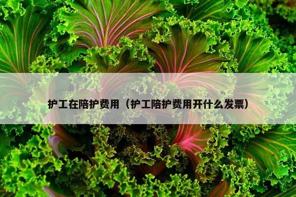 护工在陪护费用（护工陪护费用开什么发票）
