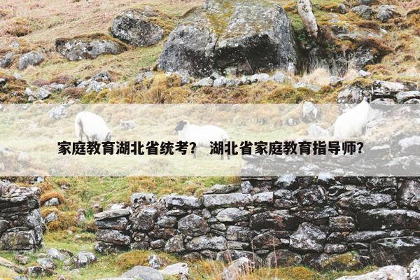 家庭教育湖北省统考？ 湖北省家庭教育指导师？