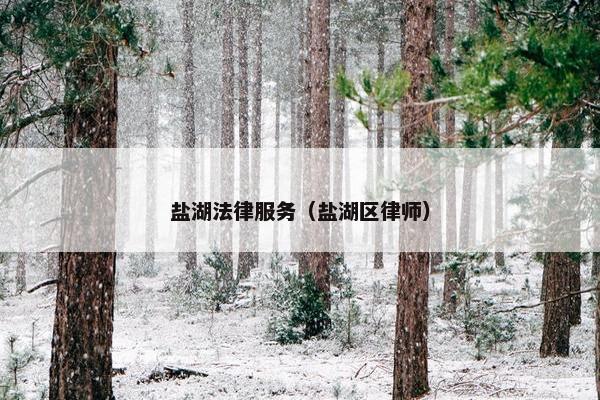 盐湖法律服务（盐湖区律师）