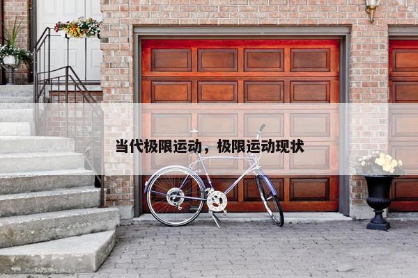 当代极限运动，极限运动现状