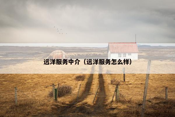远洋服务中介（远洋服务怎么样）