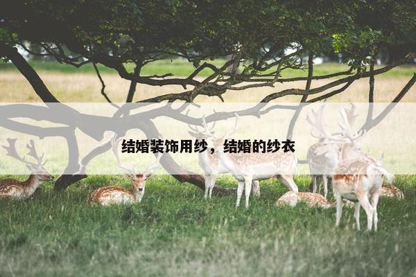 结婚装饰用纱，结婚的纱衣
