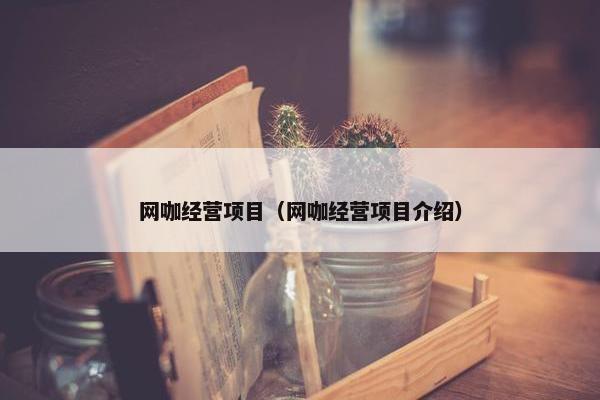 网咖经营项目（网咖经营项目介绍）