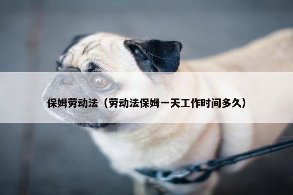 保姆劳动法（劳动法保姆一天工作时间多久）