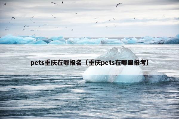 pets重庆在哪报名（重庆pets在哪里报考）