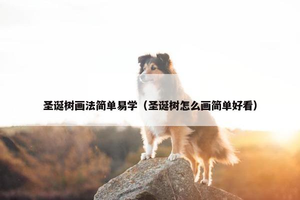 圣诞树画法简单易学（圣诞树怎么画简单好看）