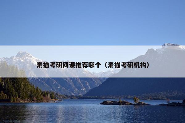 素描考研网课推荐哪个（素描考研机构）