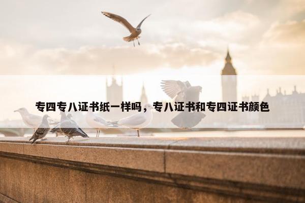 专四专八证书纸一样吗，专八证书和专四证书颜色