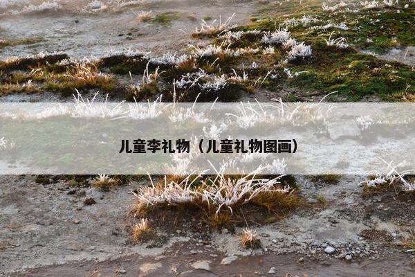 儿童李礼物（儿童礼物图画）
