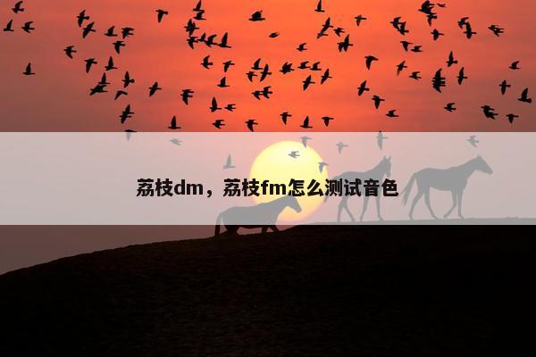 荔枝dm，荔枝fm怎么测试音色