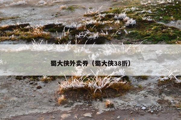 蜀大侠外卖券（蜀大侠38折）