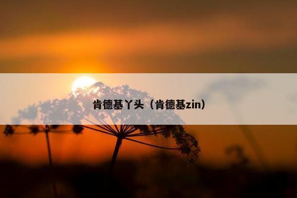 肯德基丫头（肯德基zin）