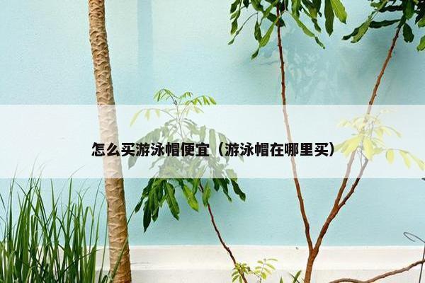 怎么买游泳帽便宜（游泳帽在哪里买）
