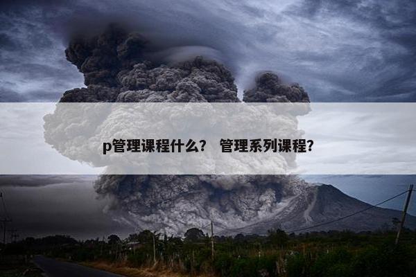 p管理课程什么？ 管理系列课程？