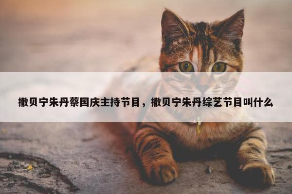 撒贝宁朱丹蔡国庆主持节目，撒贝宁朱丹综艺节目叫什么