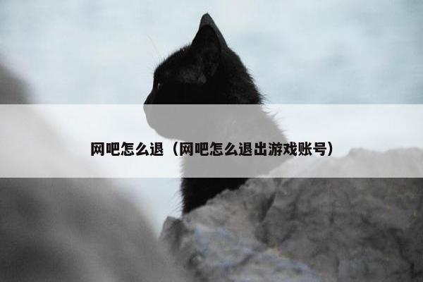 网吧怎么退（网吧怎么退出游戏账号）