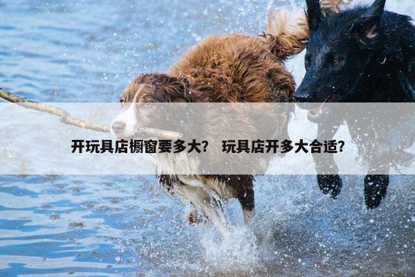 开玩具店橱窗要多大？ 玩具店开多大合适？