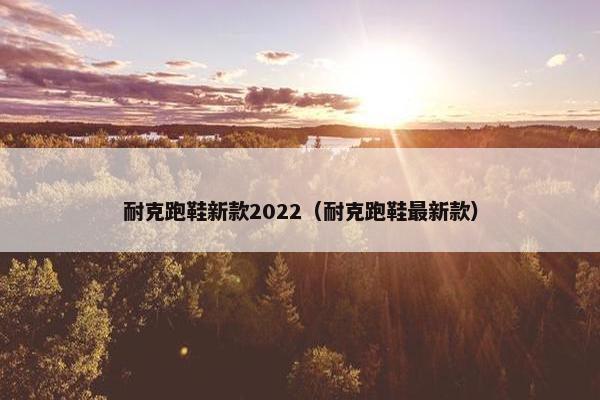 耐克跑鞋新款2022（耐克跑鞋最新款）