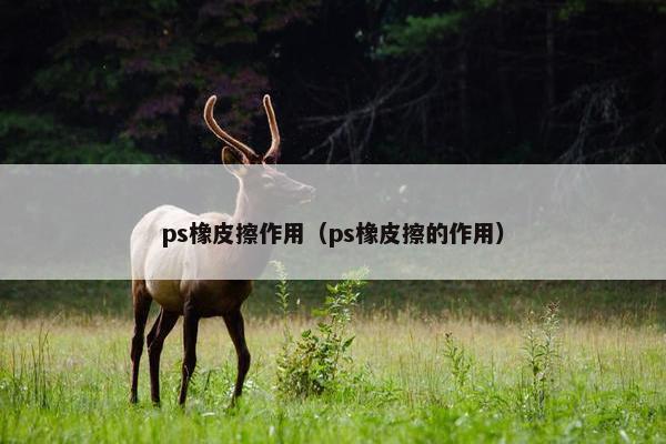 ps橡皮擦作用（ps橡皮擦的作用）