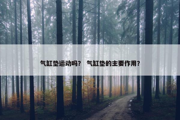 气缸垫运动吗？ 气缸垫的主要作用？