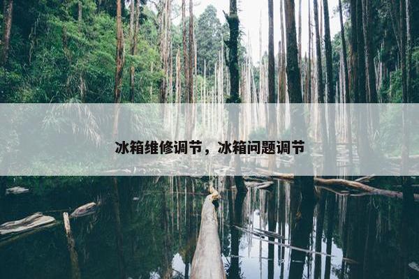 冰箱维修调节，冰箱问题调节