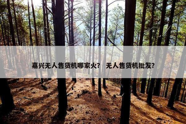 嘉兴无人售货机哪家火？ 无人售货机批发？