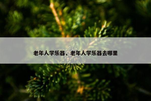 老年人学乐器，老年人学乐器去哪里