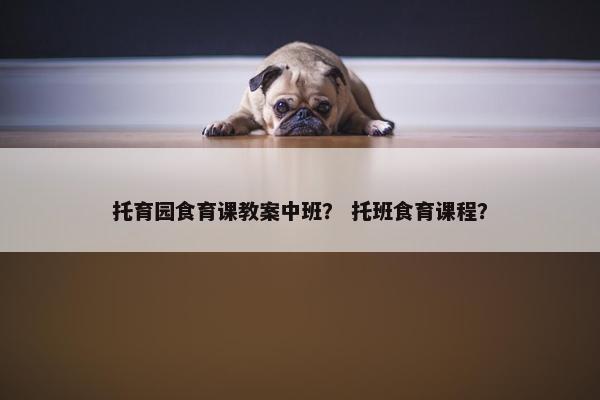 托育园食育课教案中班？ 托班食育课程？