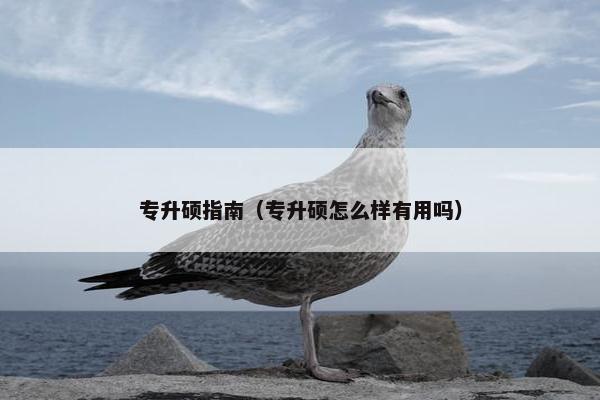 专升硕指南（专升硕怎么样有用吗）