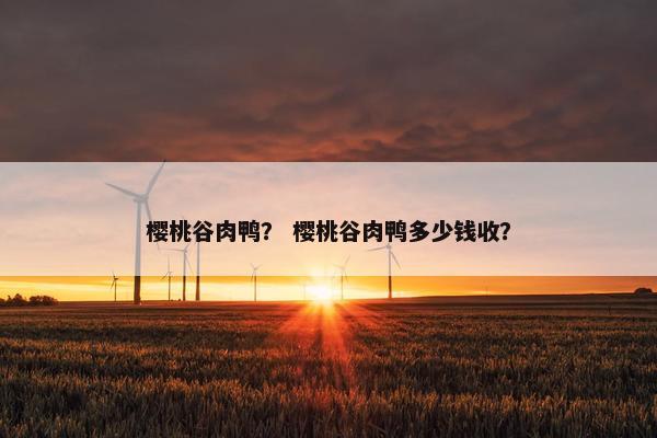 樱桃谷肉鸭？ 樱桃谷肉鸭多少钱收？