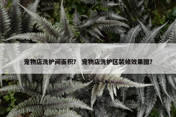 宠物店洗护间面积？ 宠物店洗护区装修效果图？
