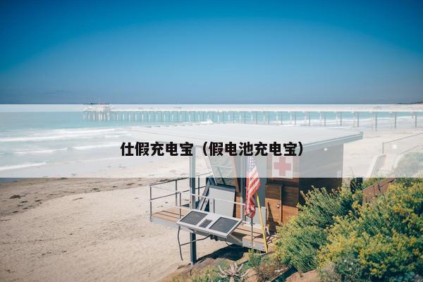 仕假充电宝（假电池充电宝）