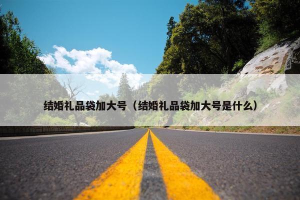 结婚礼品袋加大号（结婚礼品袋加大号是什么）