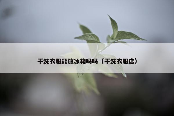 干洗衣服能放冰箱吗吗（干洗衣服店）