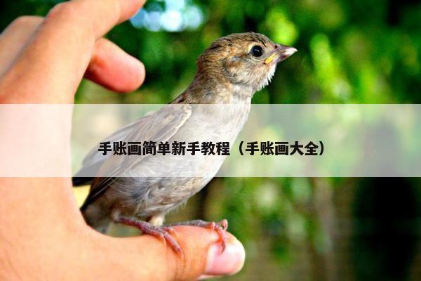 手账画简单新手教程（手账画大全）