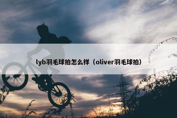 lyb羽毛球拍怎么样（oliver羽毛球拍）